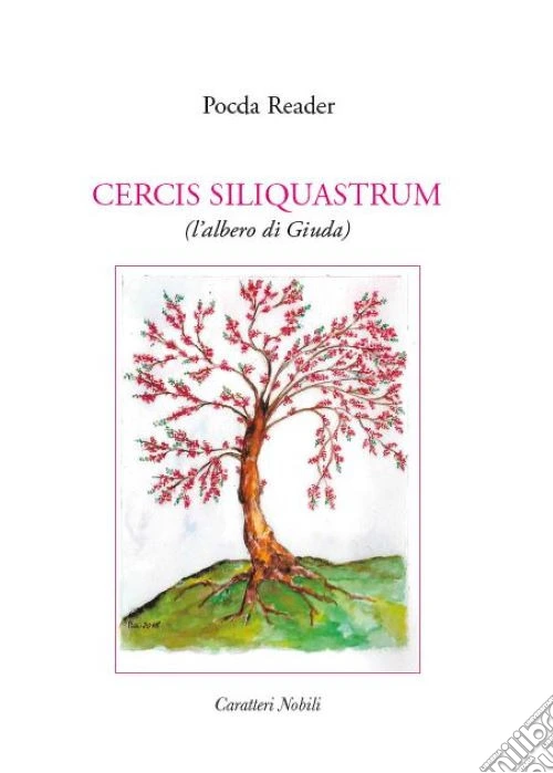 Cercis siliquastrum (l'albero di Giuda)