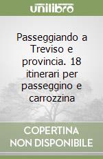 Passeggiando a Treviso e provincia. 18 itinerari per passeggino e carrozzina libro