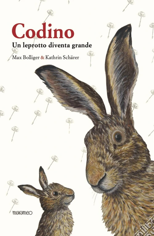 Codino. Un leprotto diventa grande