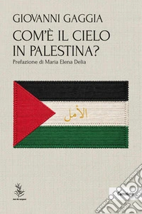 Com'è il cielo in Palestina? libro