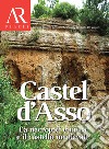 Castel d'Asso. La necropoli etrusca e il castello medievale libro