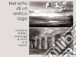 Nel letto di un antico lago. La Piana di Rieti, paesaggi di storia e di natura. Ediz. illustrata libro