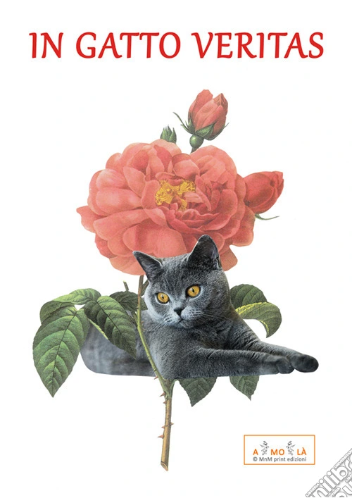 In gatto veritas