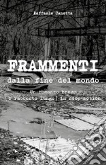 Frammenti dalla fine del mondo. Un romanzo breve (o racconto lungo) in stop-motion libro