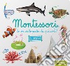 Il mare. Montessori. Le enciclopedie dei piccoli. Ediz. illustrata libro