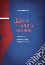 Dove l'acqua scorre. Predazzo: a passeggio con fantasia! libro