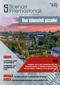 Scenari internazionali. Rivista di affari globali (2022). Vol. 24: Non chiamateli piccolini libro