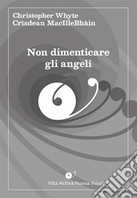 Non dimenticare gli angeli. Ediz. italiana e irlandese libro
