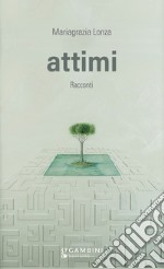 Attimi libro