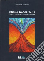 Lingua napoletana. Saggio storico-critico-grammaticale libro