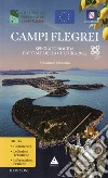 Campi Flegrei. Speciale Procida Capitale della Cultura 2022 libro di D'Antonio Massimo