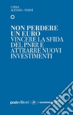 Non perdere un euro. Vincere la sfida del PNRR e attrarre nuovi investimenti libro