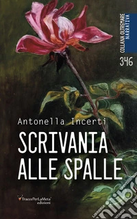 Scrivania alle spalle libro