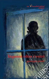 Inganni oltre i vetri libro