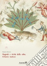 Segreti e virtù delle erbe. Erbario mediceo. Redi 165 libro