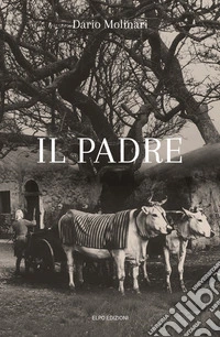 Il padre libro