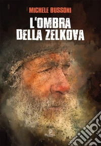 L'ombra della Zelkova
