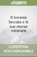 Il torrente Seccata e le sue risorse minerarie libro