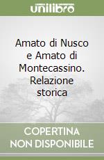 Amato di Nusco e Amato di Montecassino. Relazione storica libro