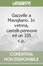 Gazzelle a Mavigliano. In vetrina, castelli-pennone ed un 335 c.p. libro