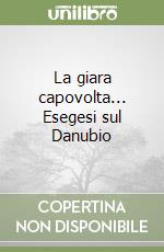 La giara capovolta... Esegesi sul Danubio libro