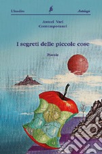 I segreti delle piccole cose libro