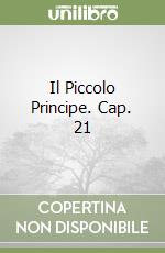 Il Piccolo Principe. Cap. 21 libro