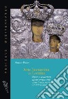 Arte bizantina a Lentini. Opere e tradizioni da un'antica città della Sicilia orientale (VI-XIII secolo) libro di Piazza Simone