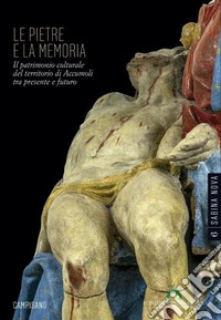 Le pietre e la memoria. Il patrimonio culturale del territorio di Accumoli tra presente e futuro. Ediz. illustrata libro