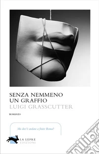 Senza nemmeno un graffio libro