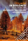 Foliage in dolomiti. Escursioni tra i colori dell'autunno libro