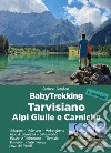 BabyTrekking Tarvisiano. Alpi Giulie e Carniche. Trekking per famiglie. Valcanale, Valbruna, Malborghetto Alpe di Ugovizza, Camporosso Fusine in Valromana, Tarvisio Pontebba, Sella Nevea Cave del Predil libro