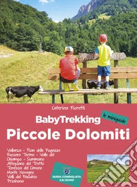 BabyTrekking. Piccole Dolomiti libro