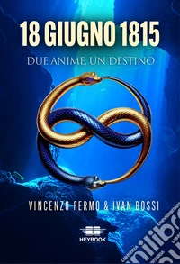 18 giugno 1815. Due anime, un destino libro