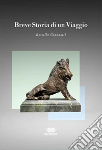 Breve storia di un viaggio libro