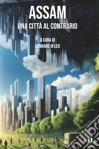 Assam. Una città al contrario libro