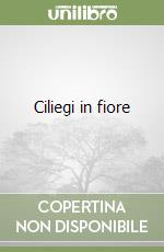 Ciliegi in fiore