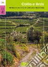 Collio e Brda. 30 itinerari dal Collio friulano alla Brda slovena libro di Candolini Alberto