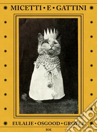 Micetti e gattini. Ediz. illustrata libro