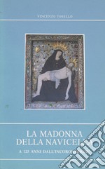 La Madonna della Navicella a 125 anni dall'incoronazione. Cenni storici sull'apparizione e riflessioni biblico-teologiche sul culto mariano libro