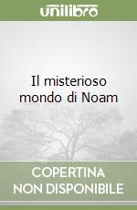 Il misterioso mondo di Noam libro