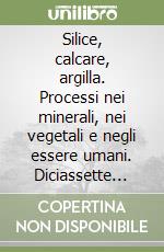 Silice, calcare, argilla. Processi nei minerali, nei vegetali e negli essere umani. Diciassette indagini di scienza spirituale libro