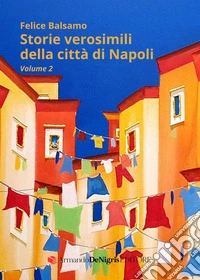Storie verosimili della città di Napoli. Vol. 2 libro