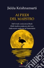 Ai piedi del maestro libro