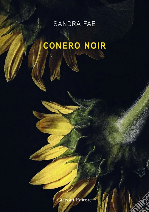 Conero noir