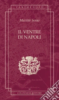 Il ventre di Napoli libro