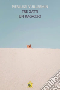 Tre gatti un ragazzo libro
