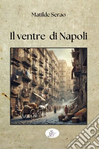Il ventre di Napoli libro