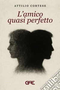 L'amico quasi perfetto libro