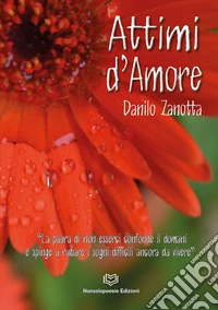 Attimi d'amore